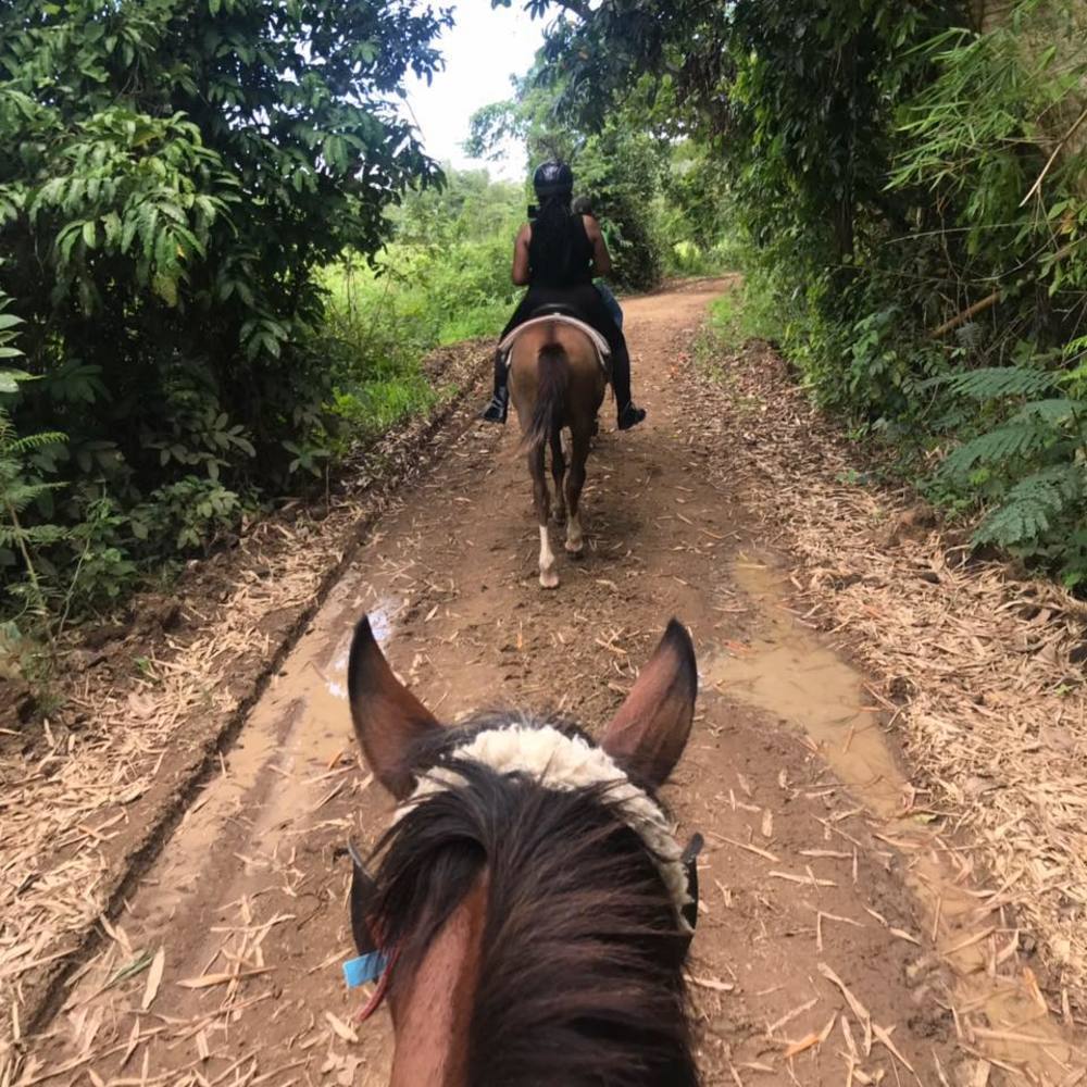 Meet your Posher, Cee